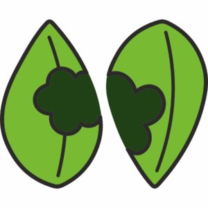 Caterpillar leaves - set 2 pieces